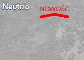 Neutrio